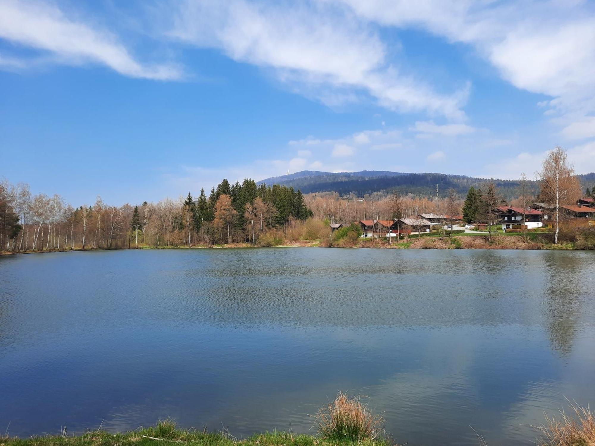 Fewo Bayerischer Wald Im Lamer Winkel Arrach Buitenkant foto