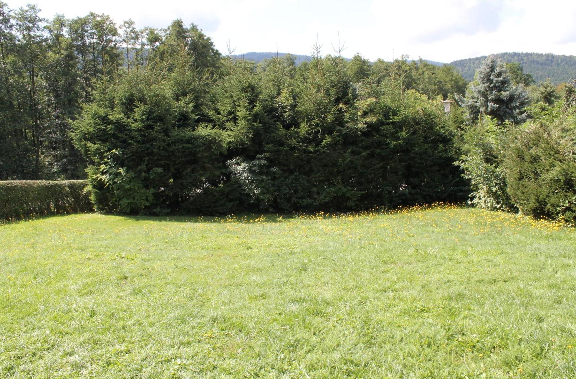 Fewo Bayerischer Wald Im Lamer Winkel Arrach Buitenkant foto